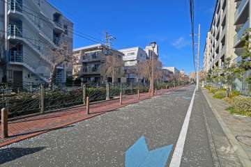 敷地の南西側前面道路（南東側から）