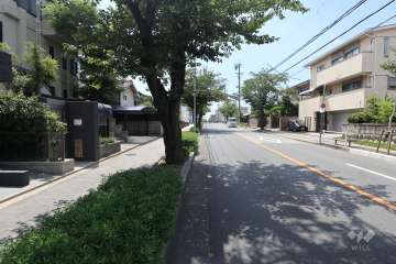 物件の西側前面道路（北側から）