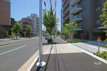 敷地東側の前面道路