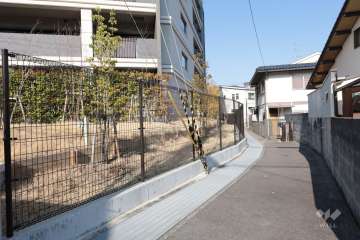 敷地南東側の前面道路（南西側から）