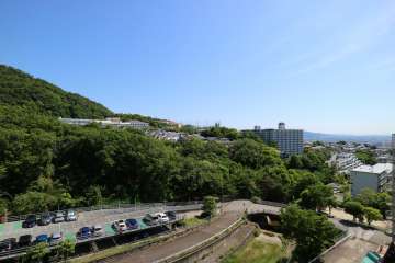 最上階からの景色