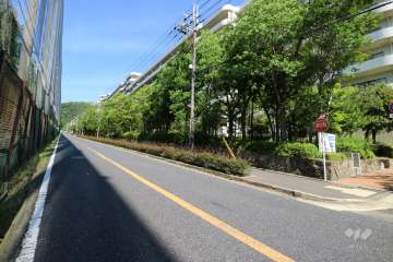 敷地南側の前面道路（県道明石神戸宝塚線）