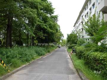 敷地内は緑豊かです。