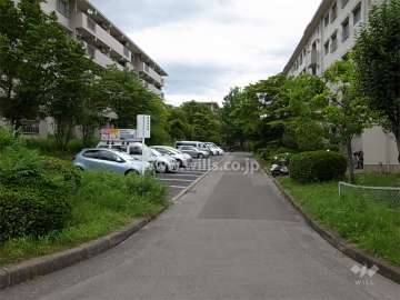 敷地内駐車場