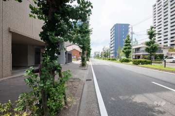 敷地北東側前面道路（南東側から）