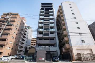 ディアレイシャス金山