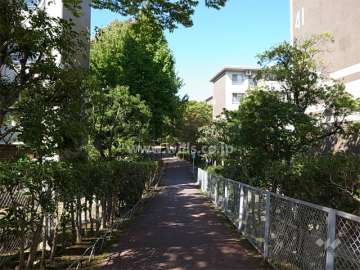 41棟の西側の通路