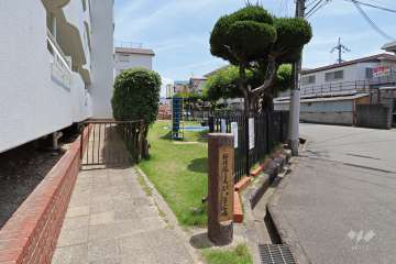 敷地南側に隣接する公園（西側から）