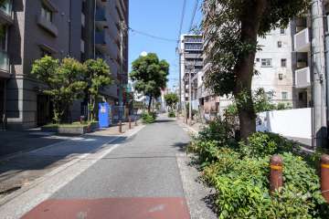 敷地西側の前面道路（南側から）
