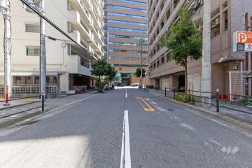 敷地西側の前面道路（北側から）