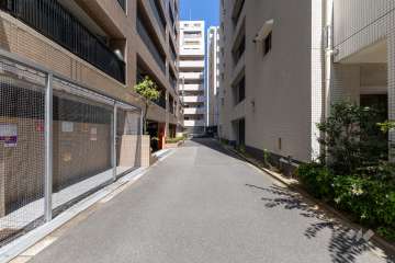 敷地北側の前面道路（西側から）