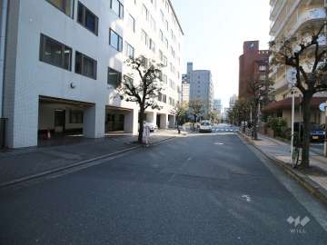敷地南側の前面道路（西側から）