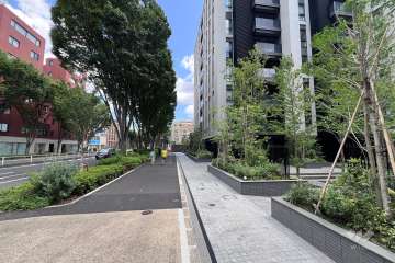 敷地北側の前面道路（西側から）