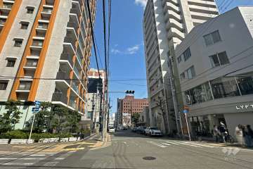 敷地南側の前面道路（西側から）
