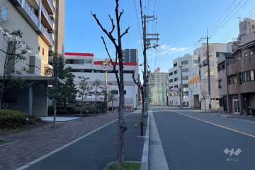 敷地東側の前面道路（南側から）