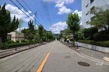 敷地西側の前面道路