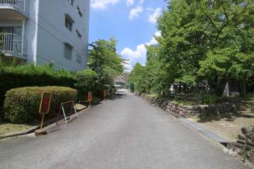 敷地東側の前面道路