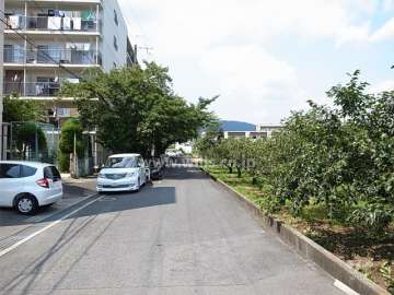 敷地東側の前面道路