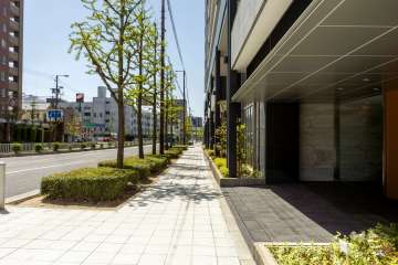 敷地東側の前面道路　