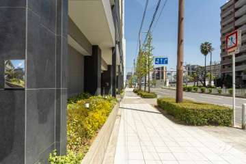 敷地東側の前面道路