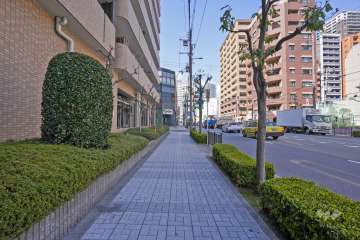 敷地の東側前面道路は「あみだ池筋」です（南側から）。