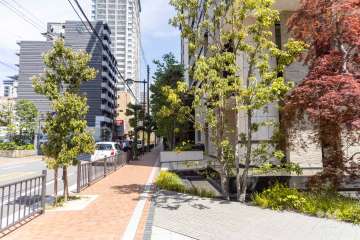 敷地の北西側前面道路（南西側から