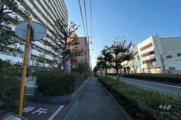 敷地南西側の前面道路（北西側から）
