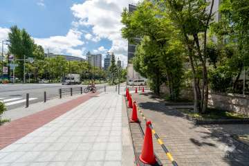 敷地南西側の前面道路（北側から）
