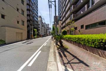 敷地南東側の前面道路（北東側から）