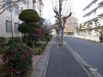 敷地北側の通り。周辺は静かな住宅地です。