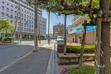 敷地の南側前面道路（東側から）