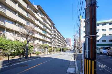 敷地南側の前面道路(西側から)