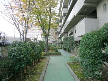 敷地内は緑豊かです