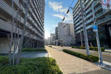 敷地南側の前面道路