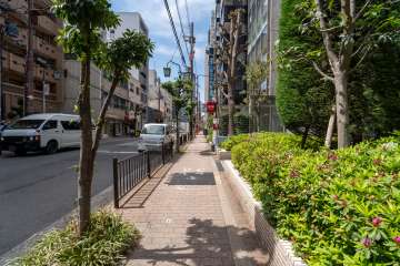 敷地の南側前面道路（東側から）