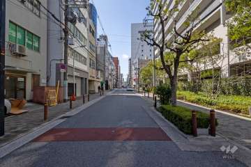敷地南側の前面道路（東側から）