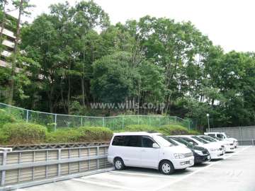 敷地北側に広がる雑木林