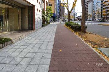 敷地南西側の前面道路（北西側から）