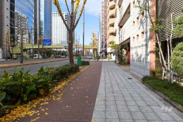 敷地南西側の前面道路（南東側から）