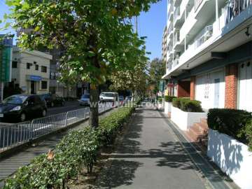 街路樹が美しい敷地南側のバス通り
