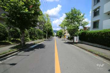 敷地東側の前面道路