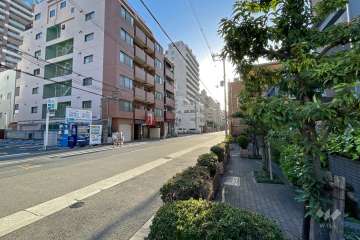 敷地北側の前面道路（西側から）