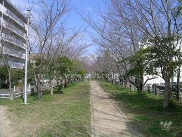 敷地の東側も公園です