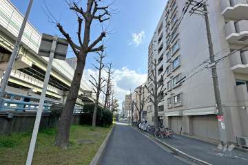 敷地北側の前面道路