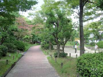 南側にある緑豊かな公園