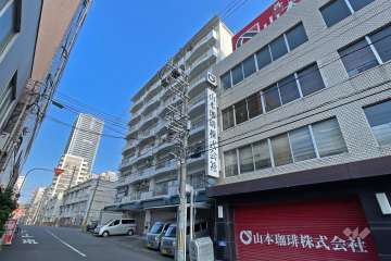 フルーレ南堀江の外観（南東側から）