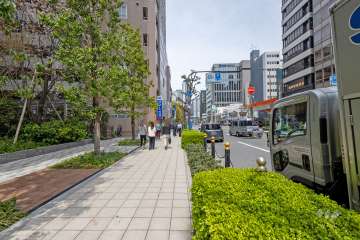 敷地東側の前面道路（南側から）