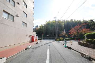 敷地東側の前面道路（北側から）
