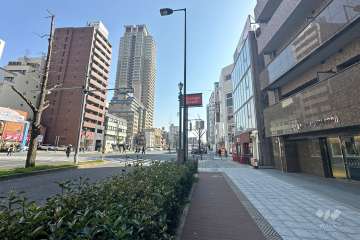 敷地東側の前面道路（北側から）