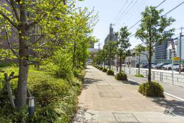 敷地西側の前面道路（北側から）